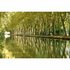 VÉLO TOUT CHEMIN RIVERSIDE 500 BLEU -Velos Ville Boutique velo tout chemin riverside 500 bleu 16 600x600 1